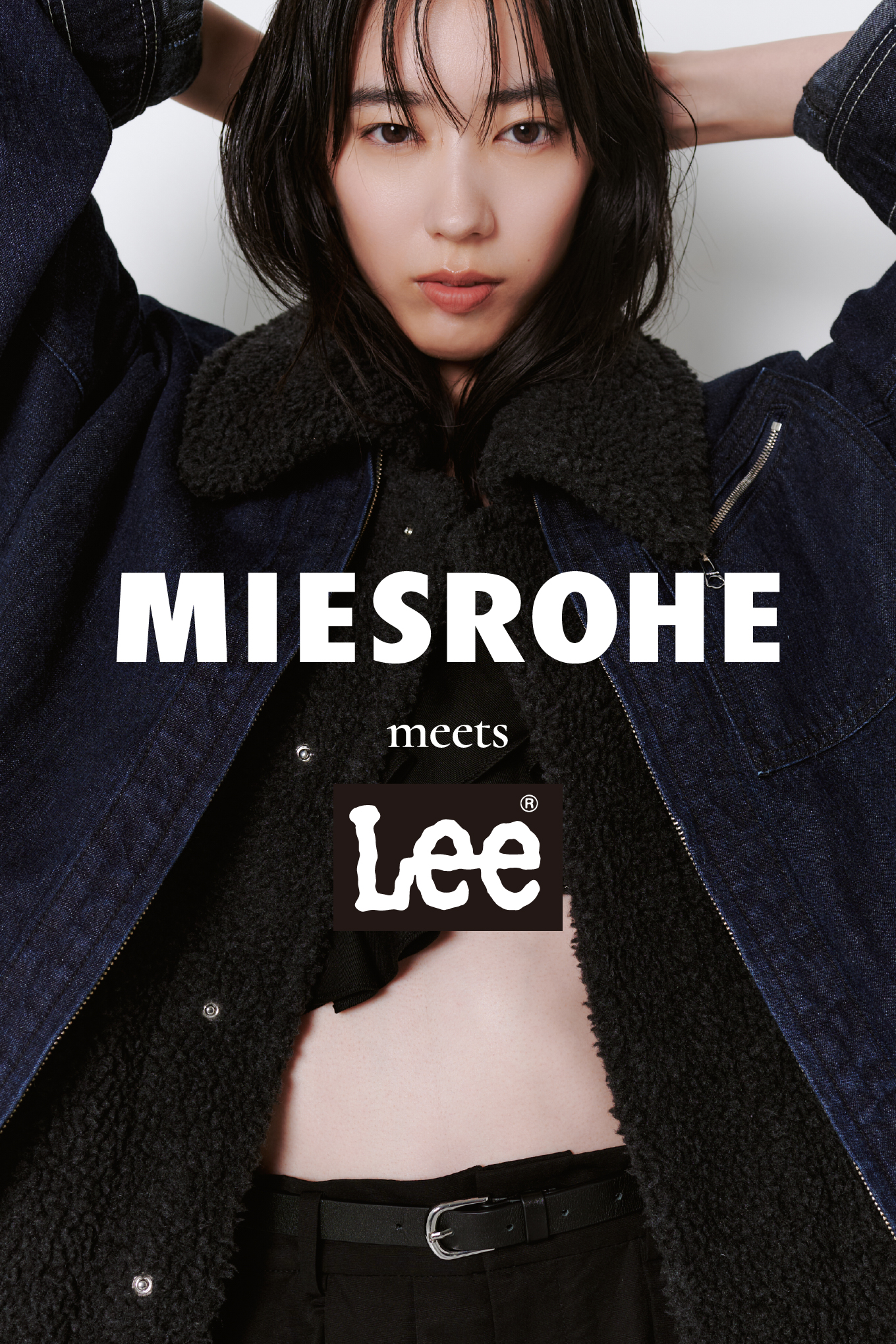 MIESROHE meets Lee