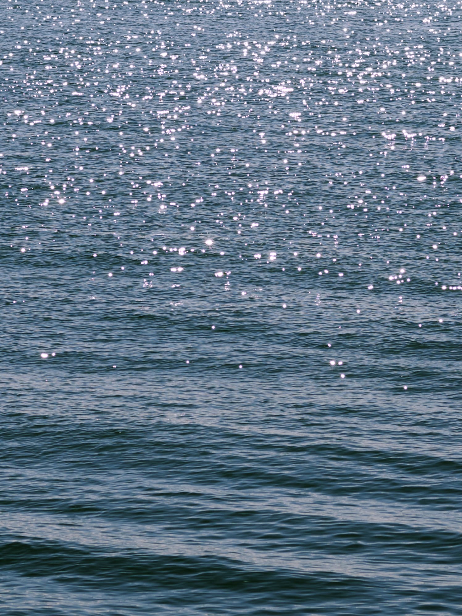 海の写真